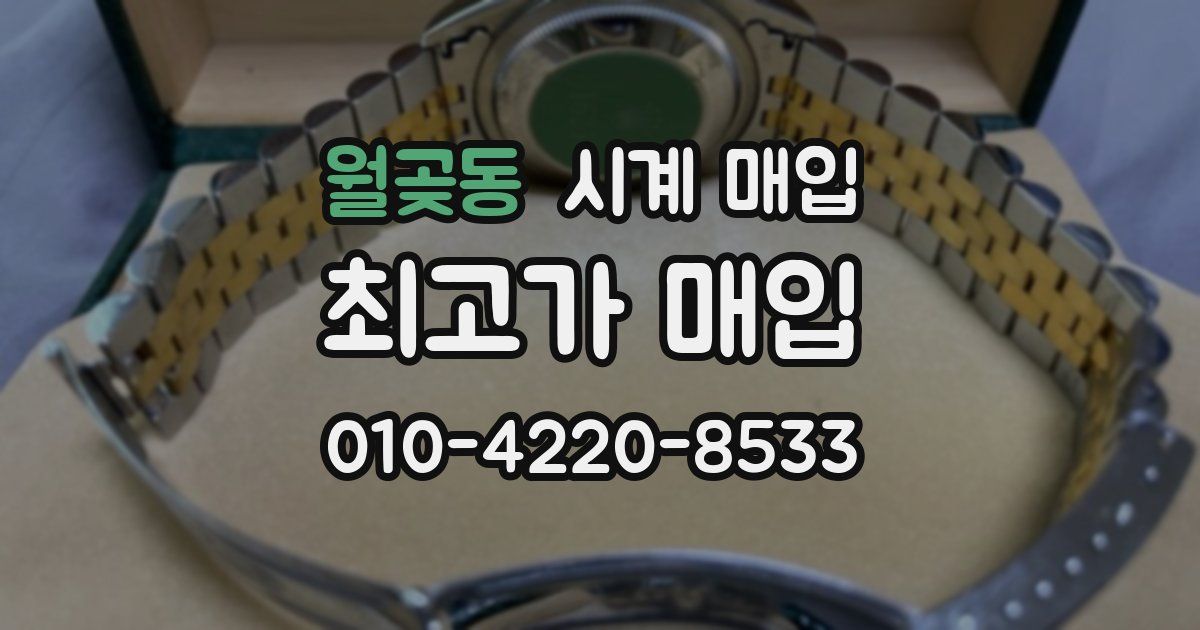 월곶동 시계 매입