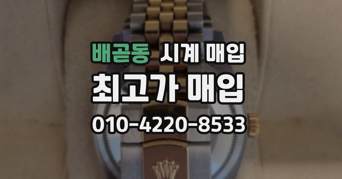 배곧동 시계 매입