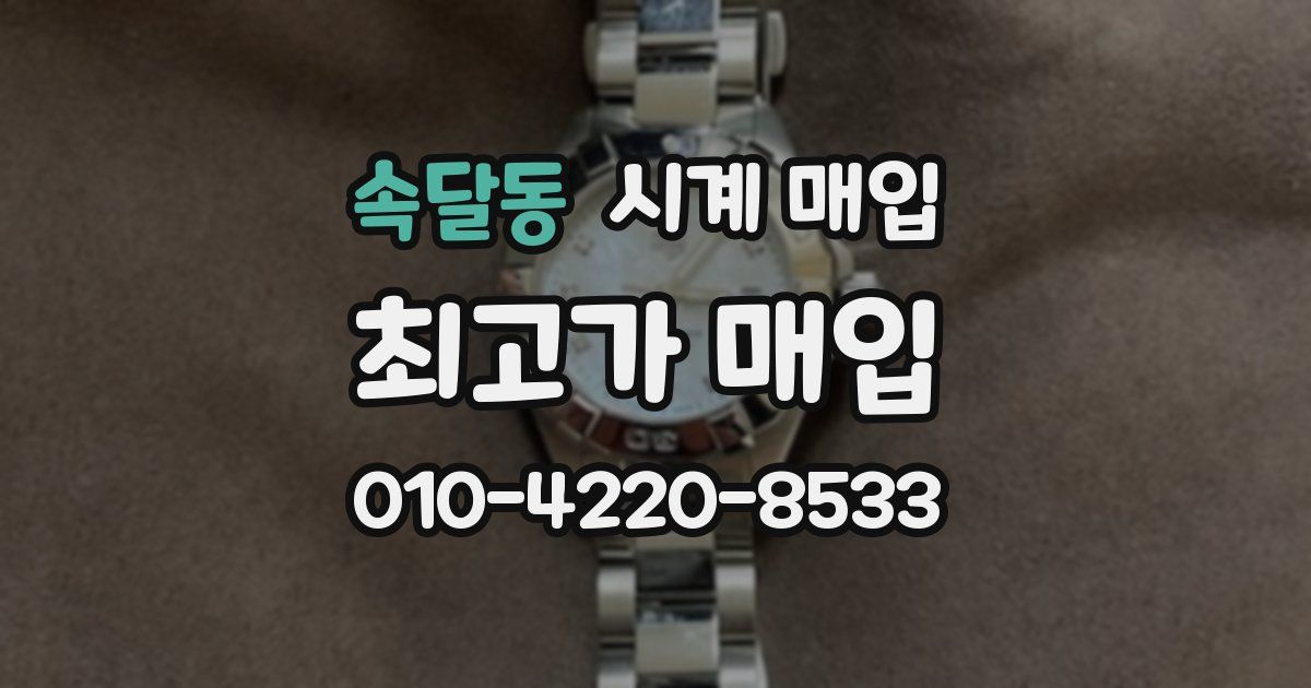 속달동 시계 매입