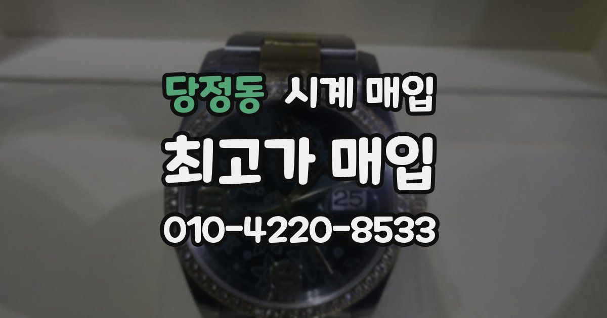 당정동 시계 매입