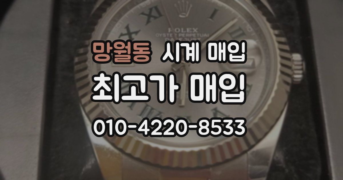 망월동 시계 매입