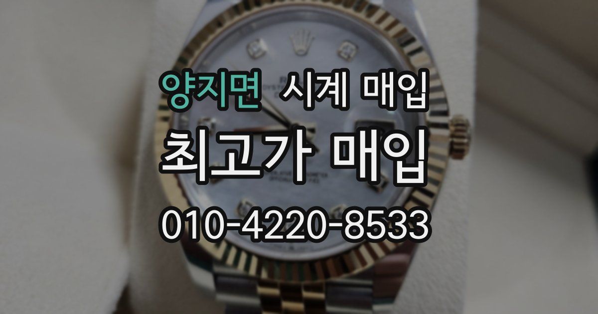 양지면 시계 매입