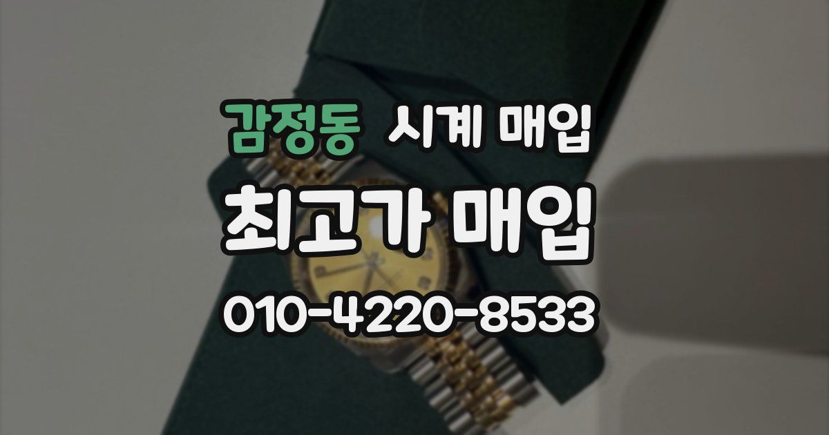 감정동 시계 매입