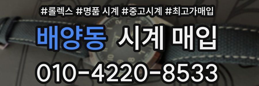 배양동 시계 매입