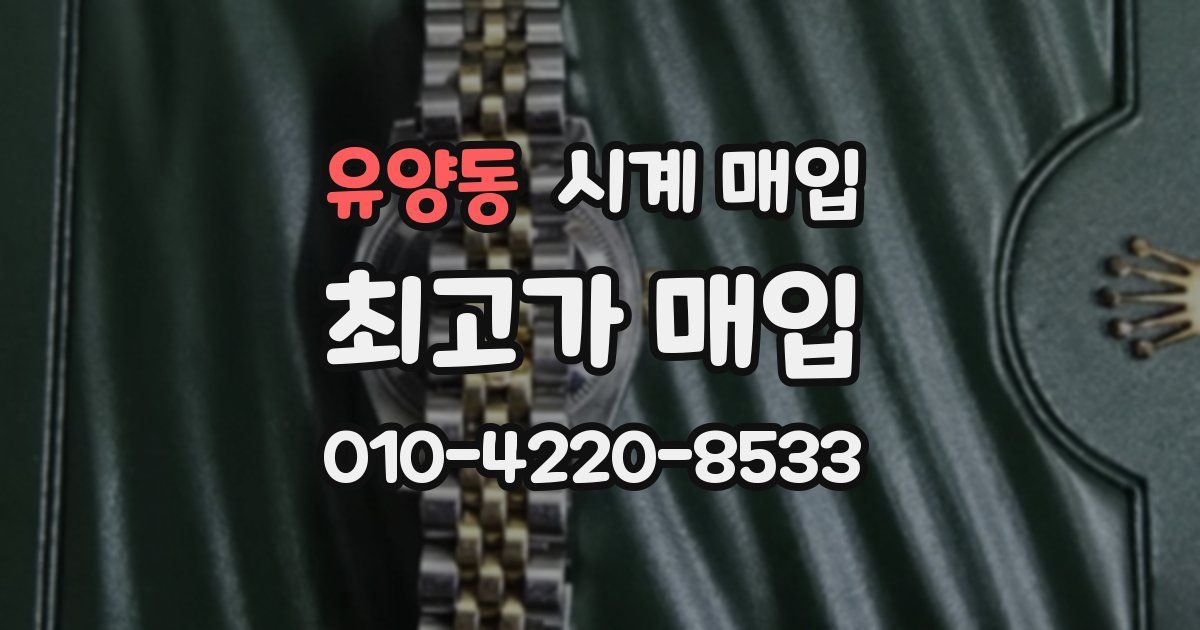유양동 시계 매입