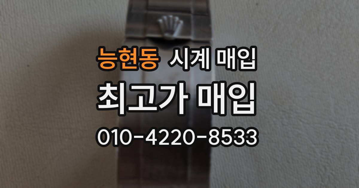 능현동 시계 매입