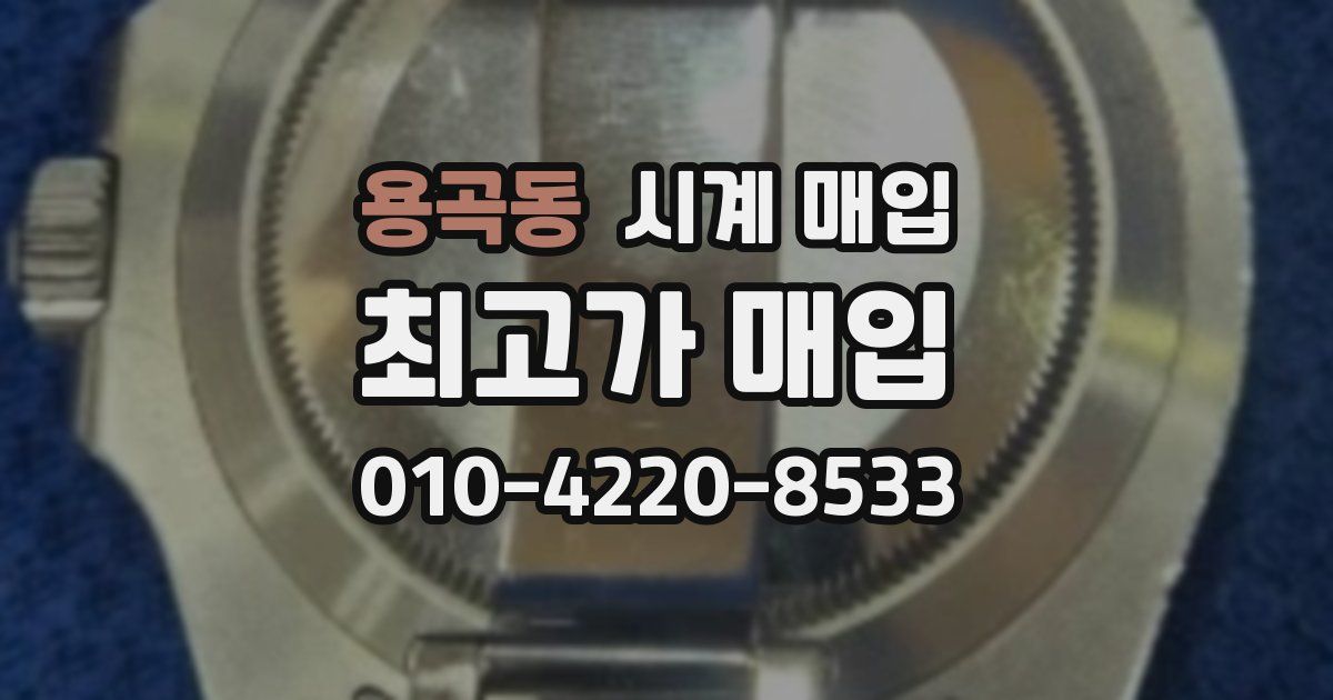 용곡동 시계 매입