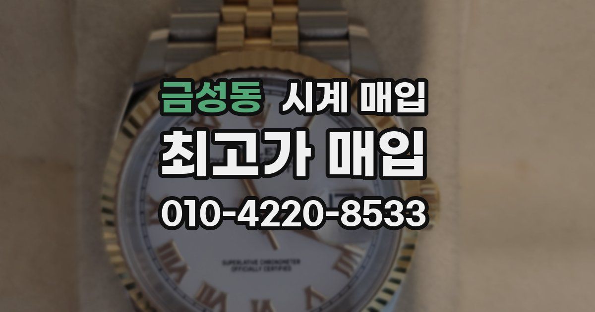 금성동 시계 매입