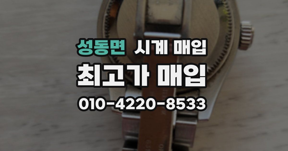 성동면 시계 매입