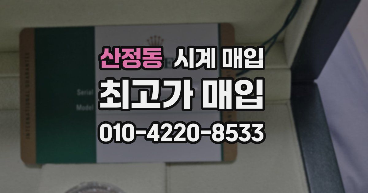 산정동 시계 매입
