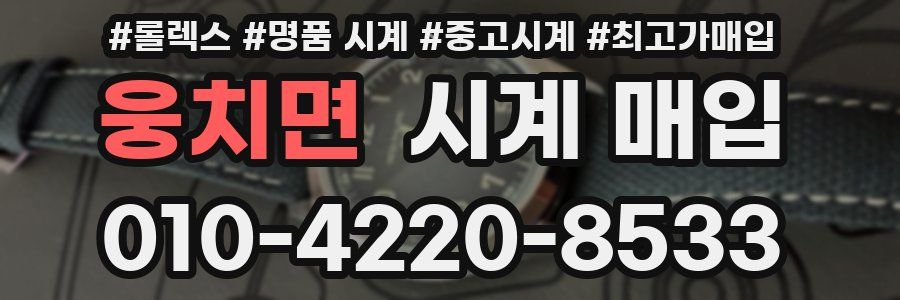 웅치면 시계 매입