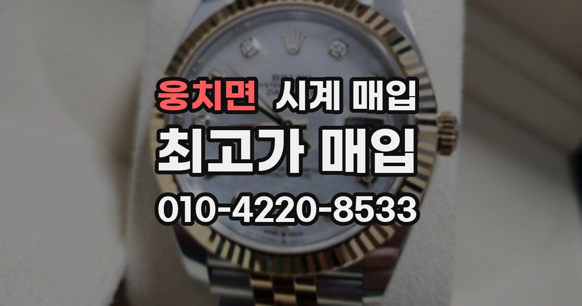 웅치면 시계 매입