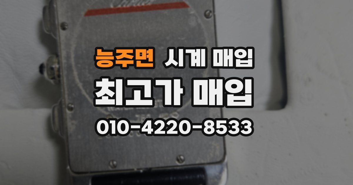 능주면 시계 매입