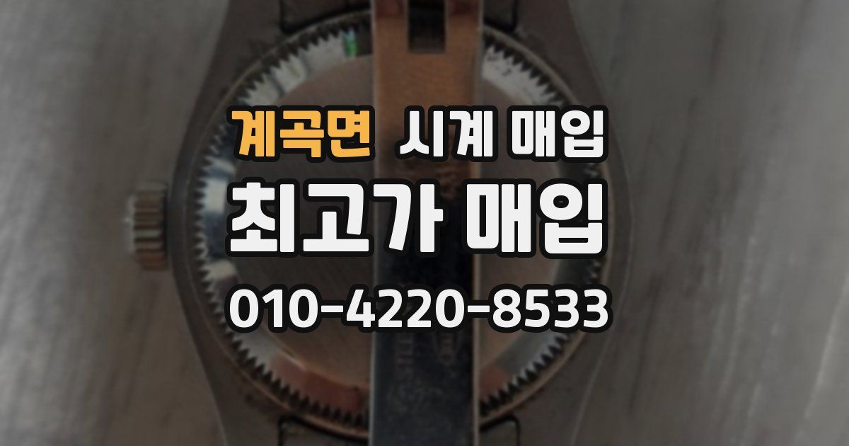 계곡면 시계 매입