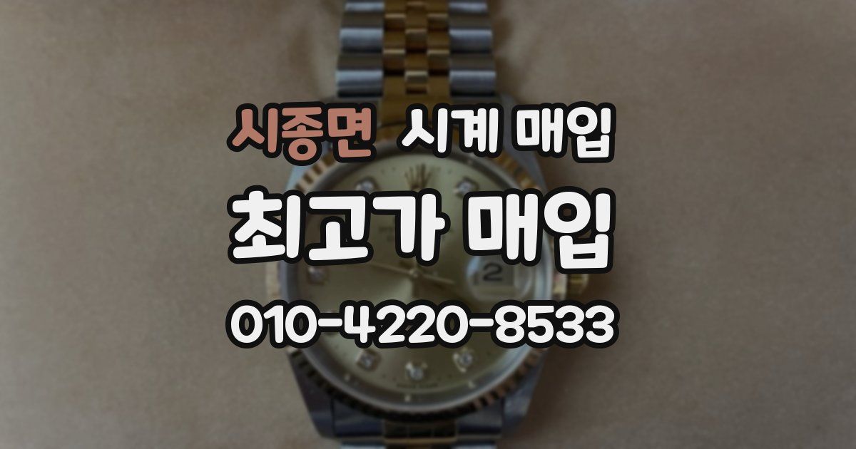 시종면 시계 매입