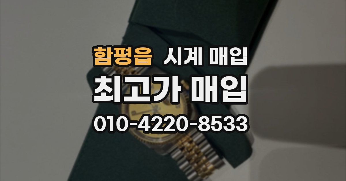 함평읍 시계 매입