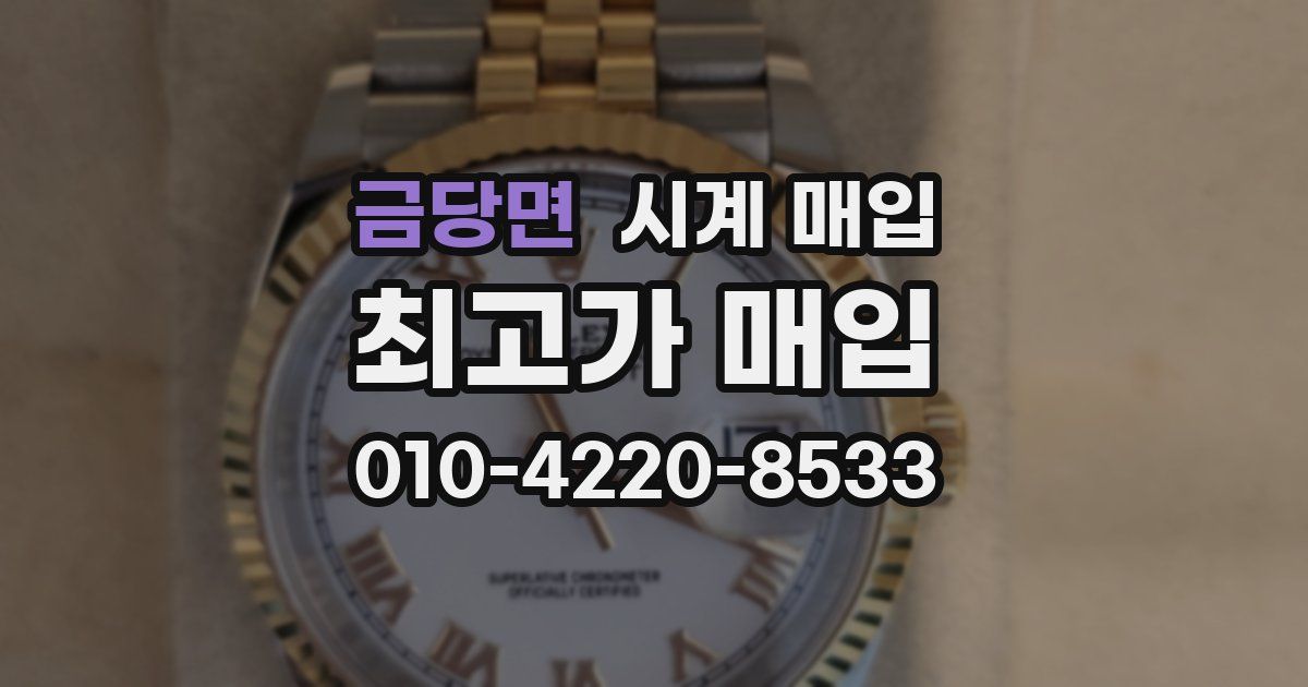 금당면 시계 매입