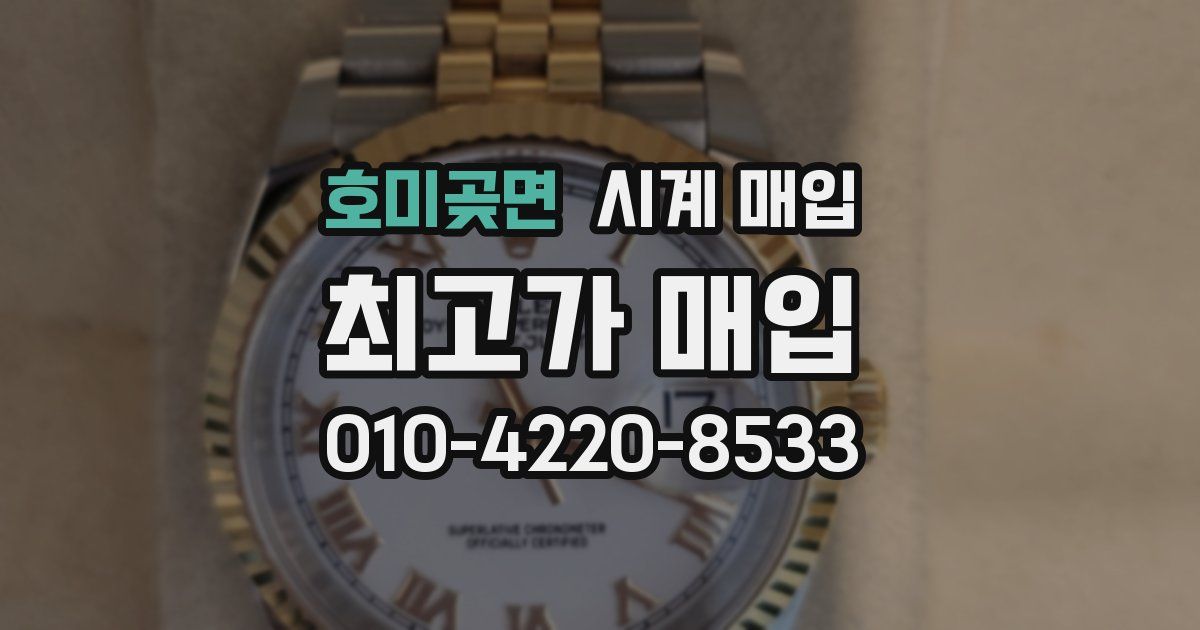호미곶면 시계 매입
