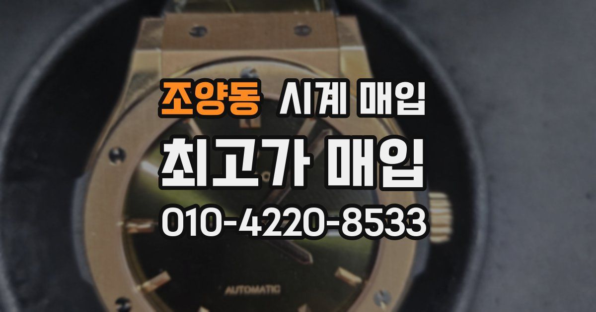 조양동 시계 매입