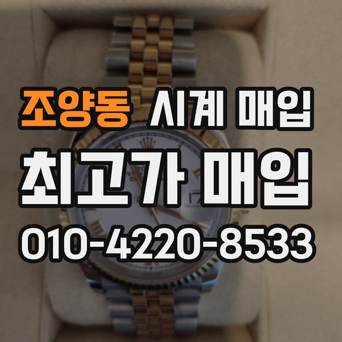 조양동 시계 매입