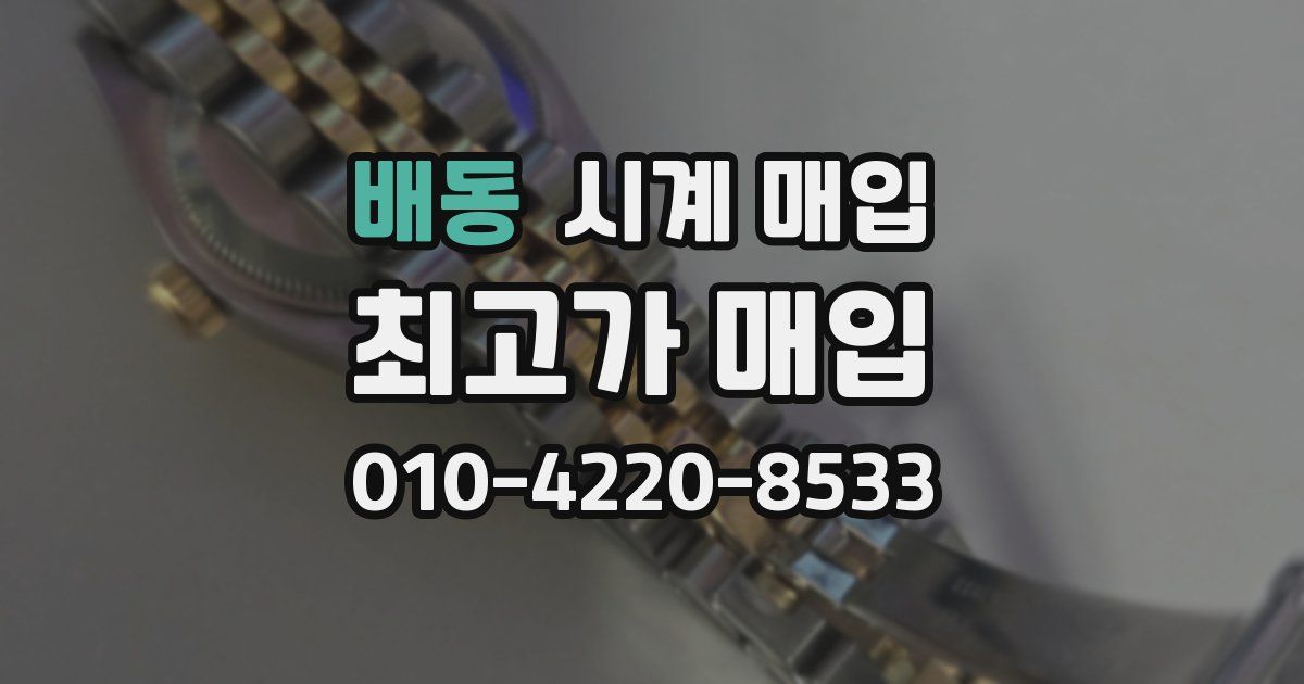 배동 시계 매입