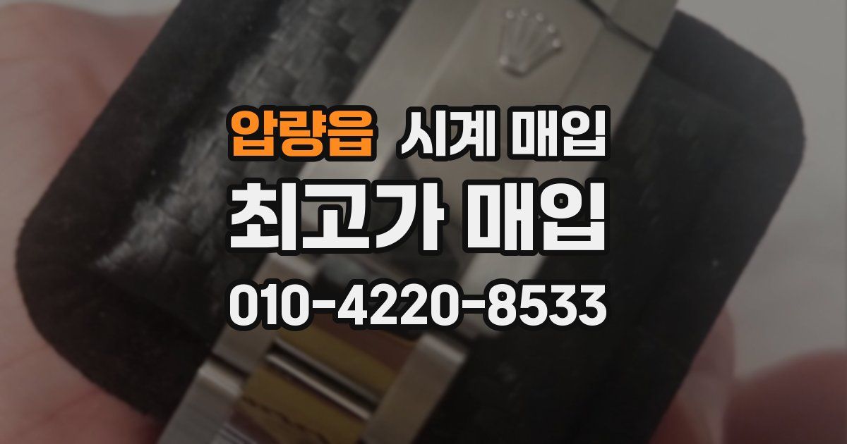 압량읍 시계 매입