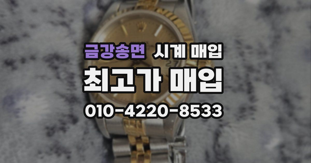금강송면 시계 매입