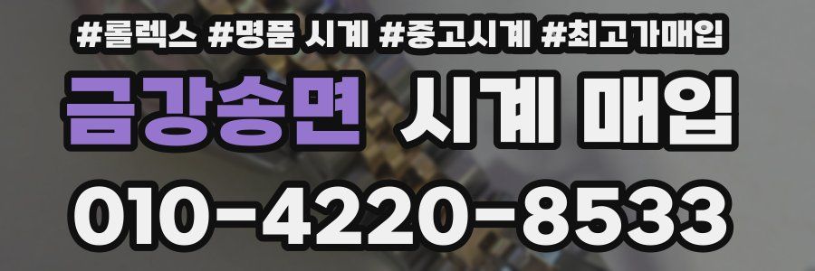 금강송면 시계 매입