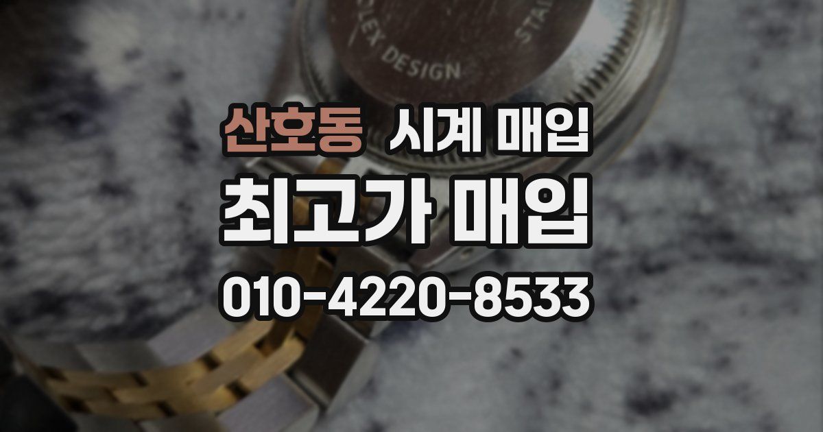 산호동 시계 매입