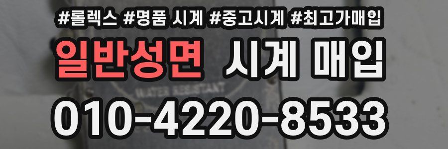 일반성면 시계 매입