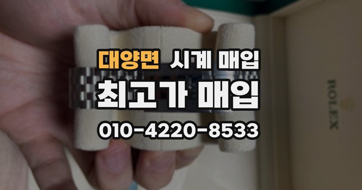 대양면 시계 매입