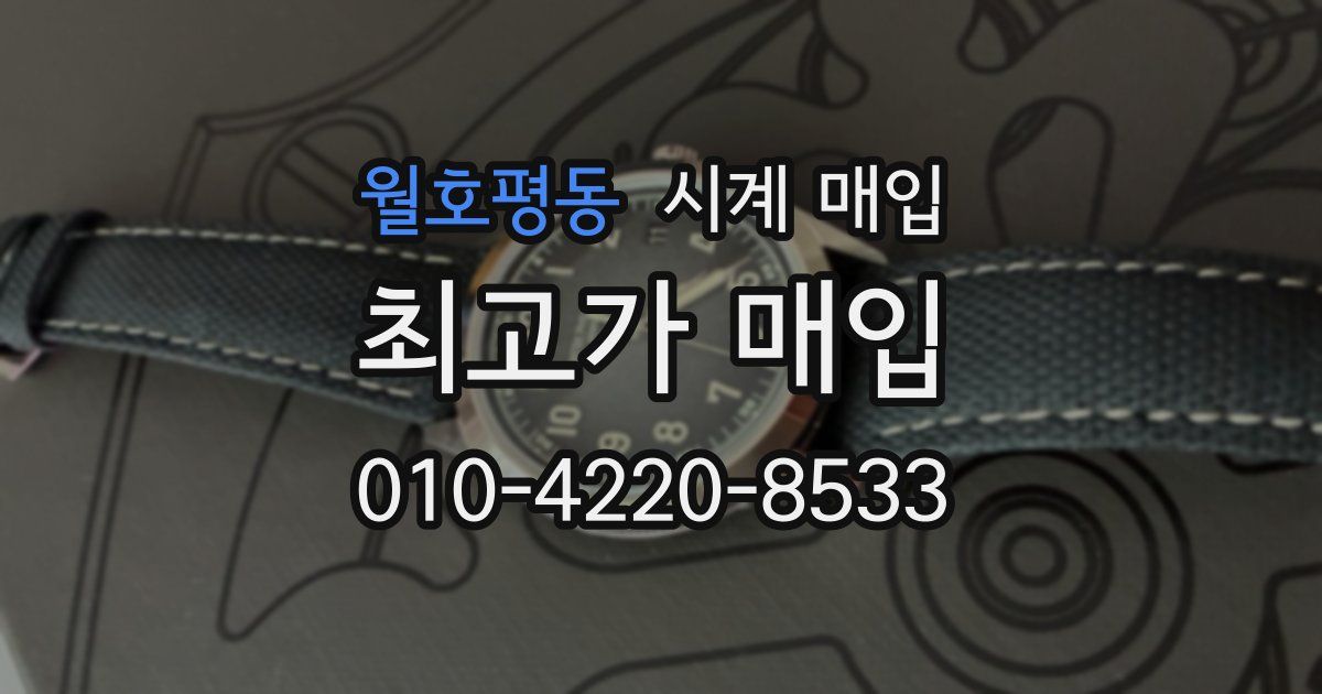 월호평동 시계 매입