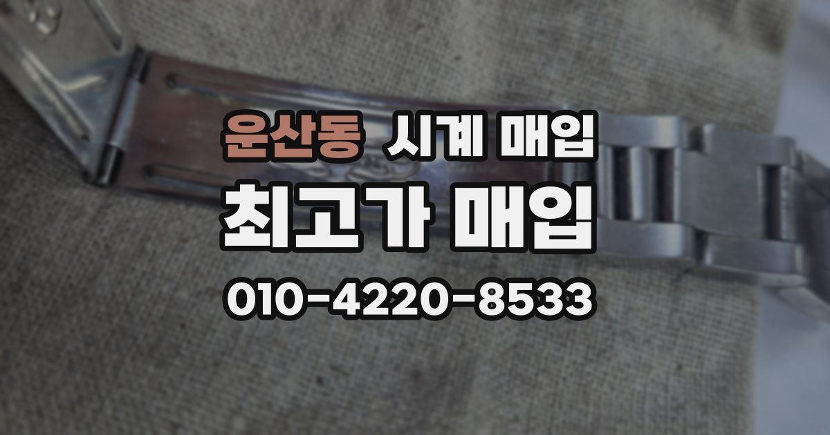 운산동 시계 매입