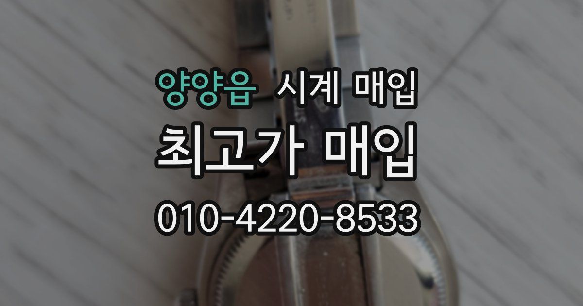 양양읍 시계 매입