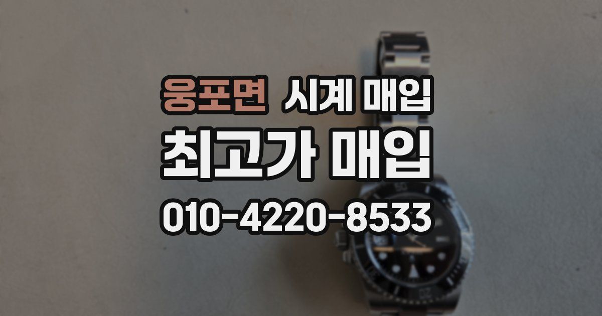 웅포면 시계 매입