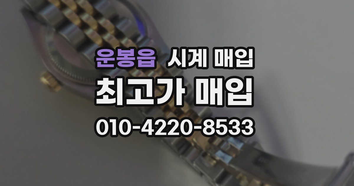운봉읍 시계 매입