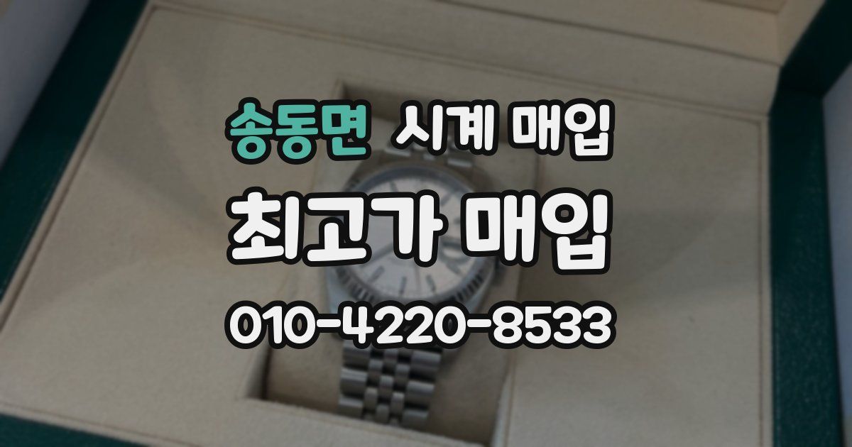 송동면 시계 매입