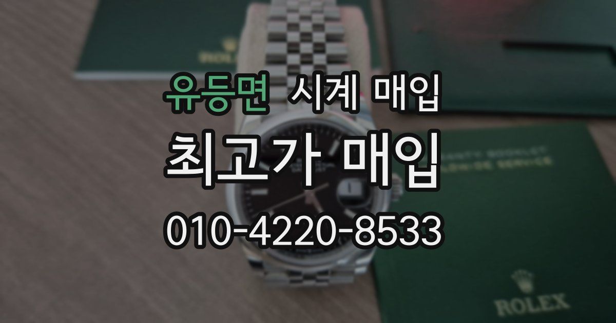 유등면 시계 매입