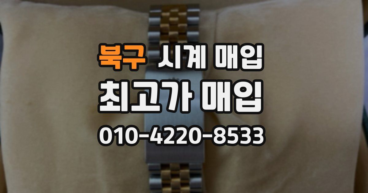 북구 시계 매입
