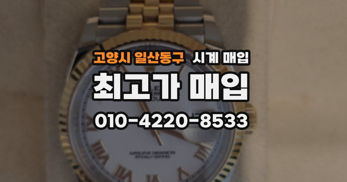 고양시 일산동구 시계 매입