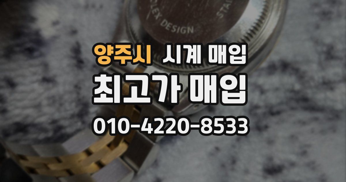 양주시 시계 매입