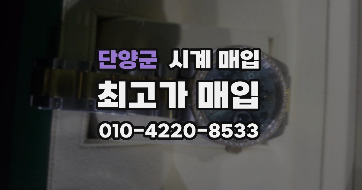 단양군 시계 매입