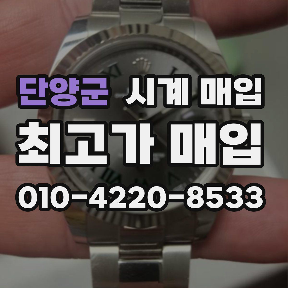 단양군 시계 매입