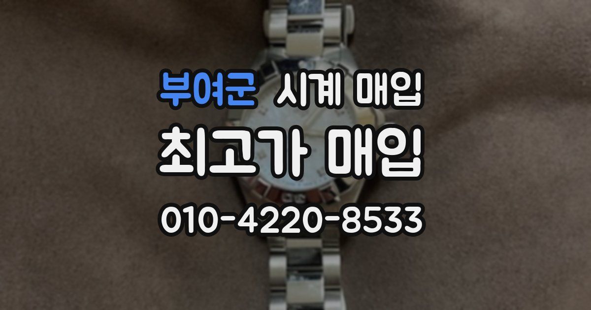 부여군 시계 매입