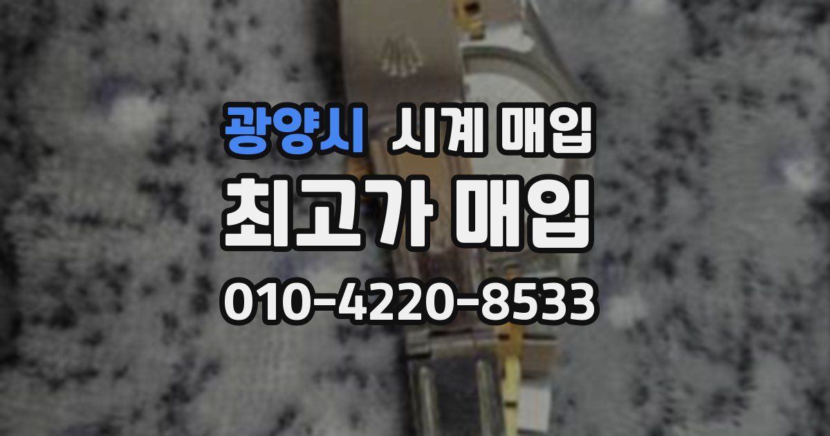 광양시 시계 매입