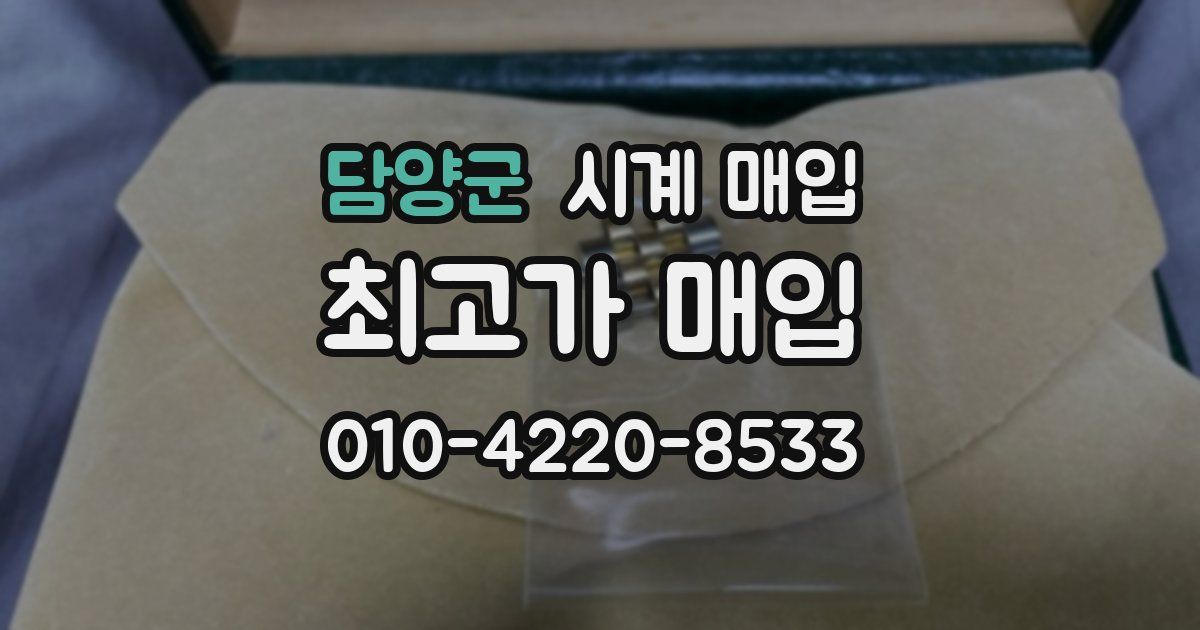 담양군 시계 매입