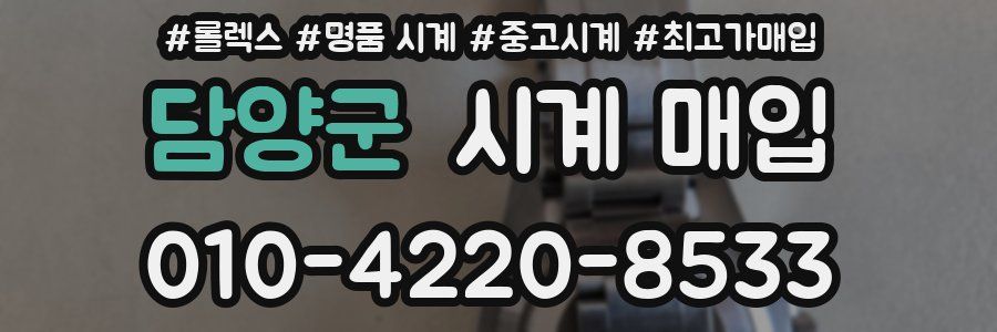 담양군 시계 매입
