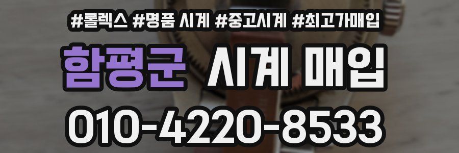 함평군 시계 매입