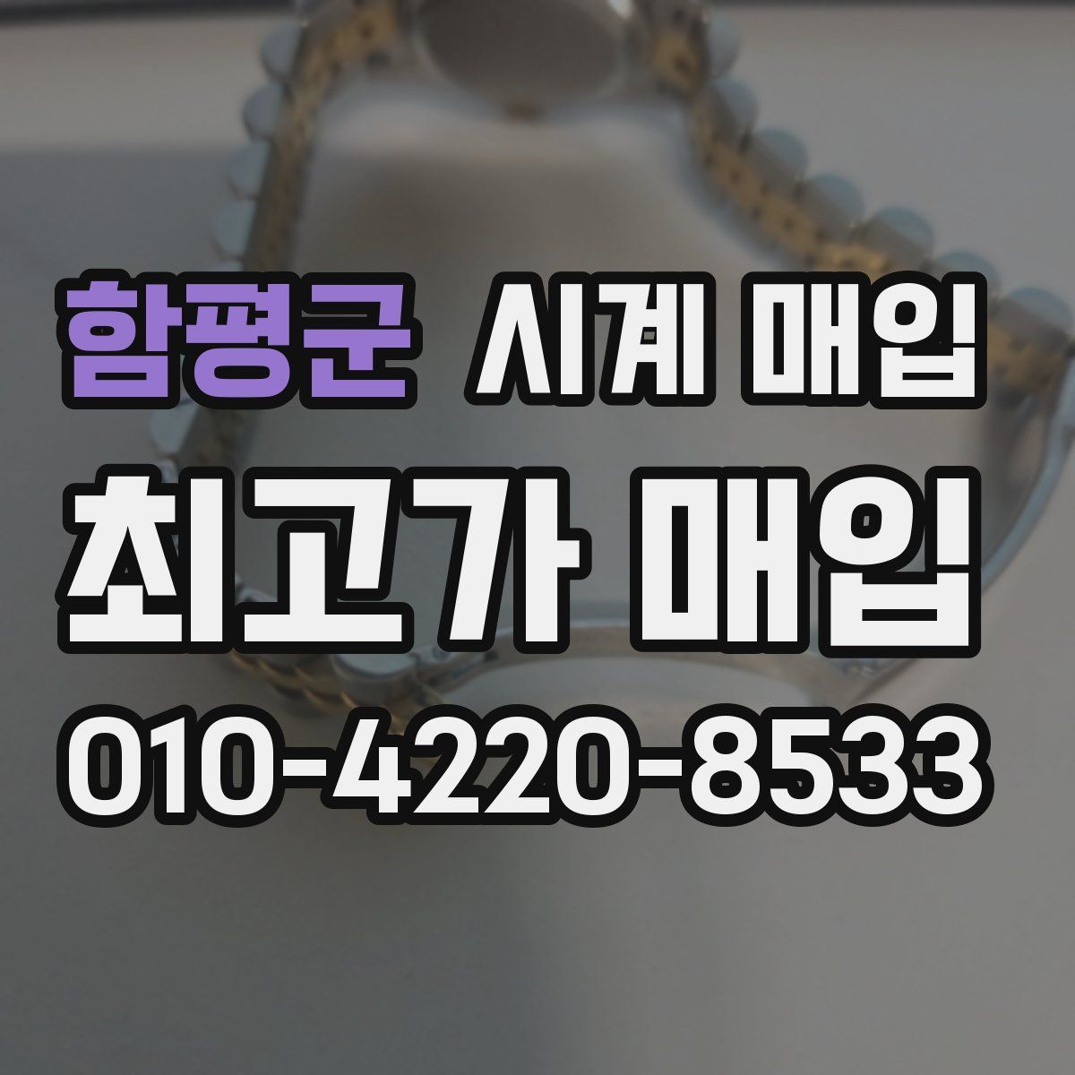 함평군 시계 매입