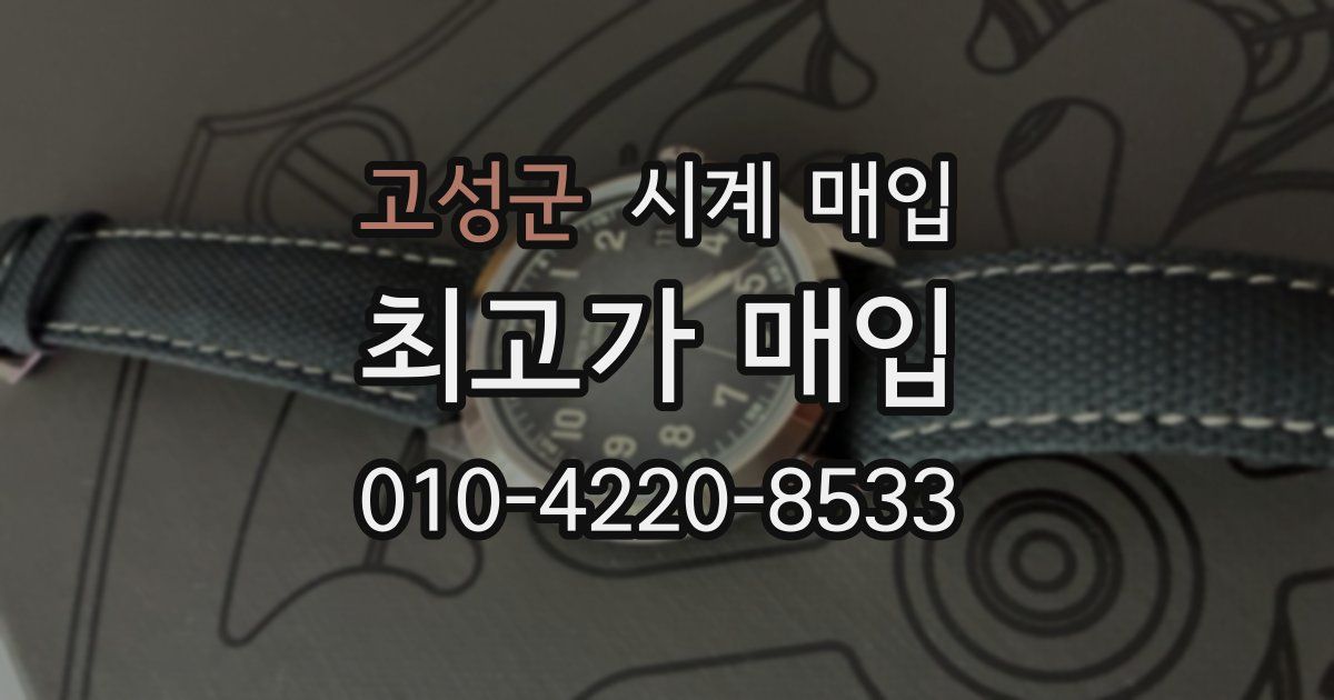 고성군 시계 매입